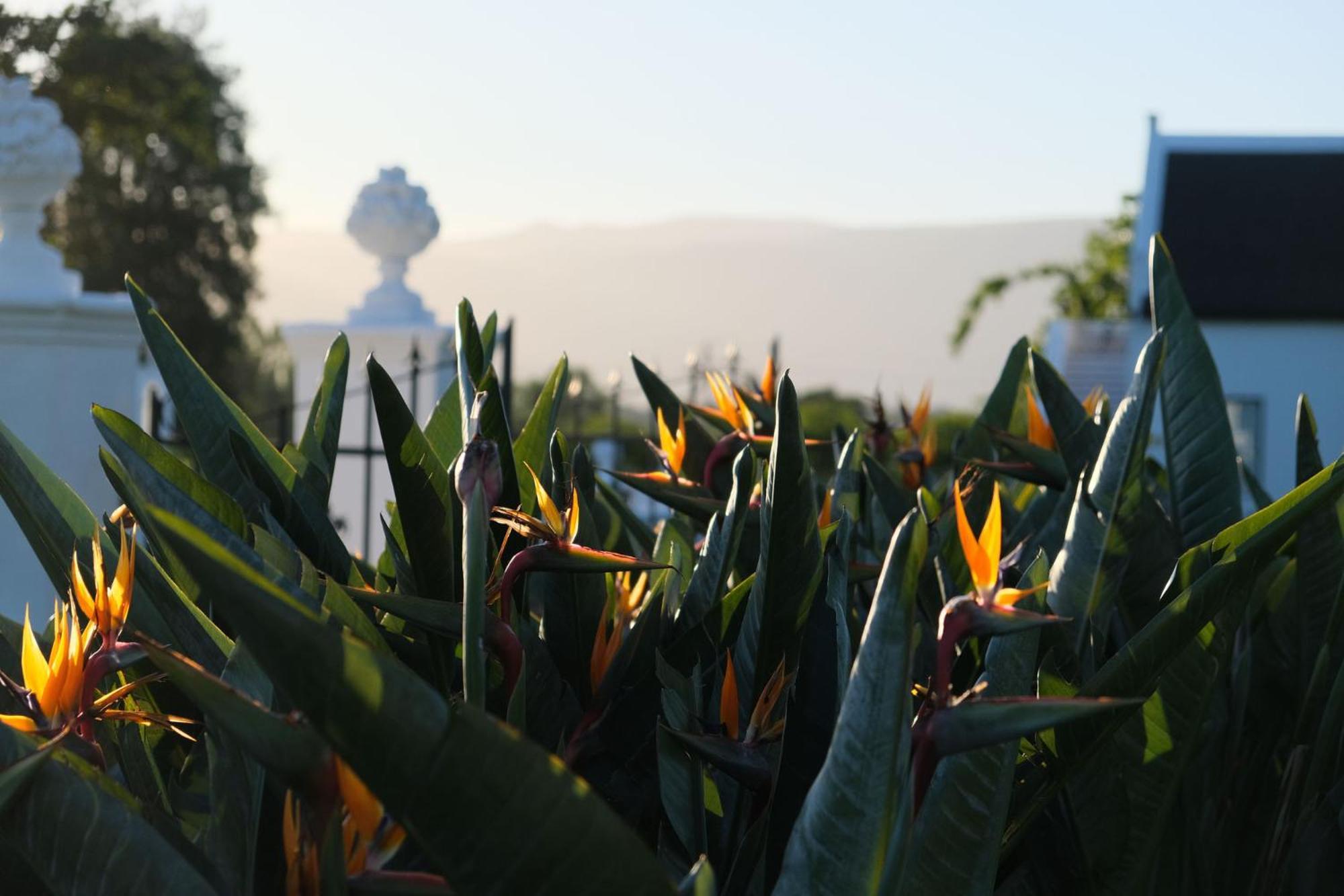Adara Palmiet Valley Luxurious Boutique Farm Hotel พาร์ล ภายนอก รูปภาพ